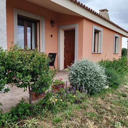 Agriturismo Gli Olivastri Appartamento Corbezzolo Con Piscina E Vista Mare,Climatizzatore,Wifi Aglientu Zewnętrze zdjęcie
