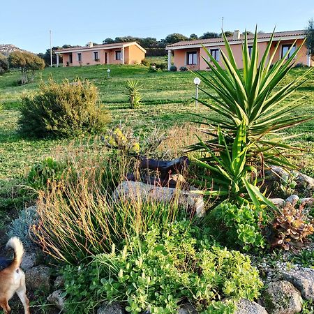 Agriturismo Gli Olivastri Appartamento Corbezzolo Con Piscina E Vista Mare,Climatizzatore,Wifi Aglientu Zewnętrze zdjęcie