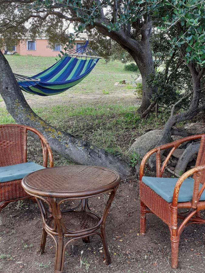 Agriturismo Gli Olivastri Appartamento Corbezzolo Con Piscina E Vista Mare,Climatizzatore,Wifi Aglientu Zewnętrze zdjęcie