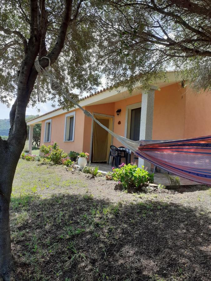 Agriturismo Gli Olivastri Appartamento Corbezzolo Con Piscina E Vista Mare,Climatizzatore,Wifi Aglientu Zewnętrze zdjęcie