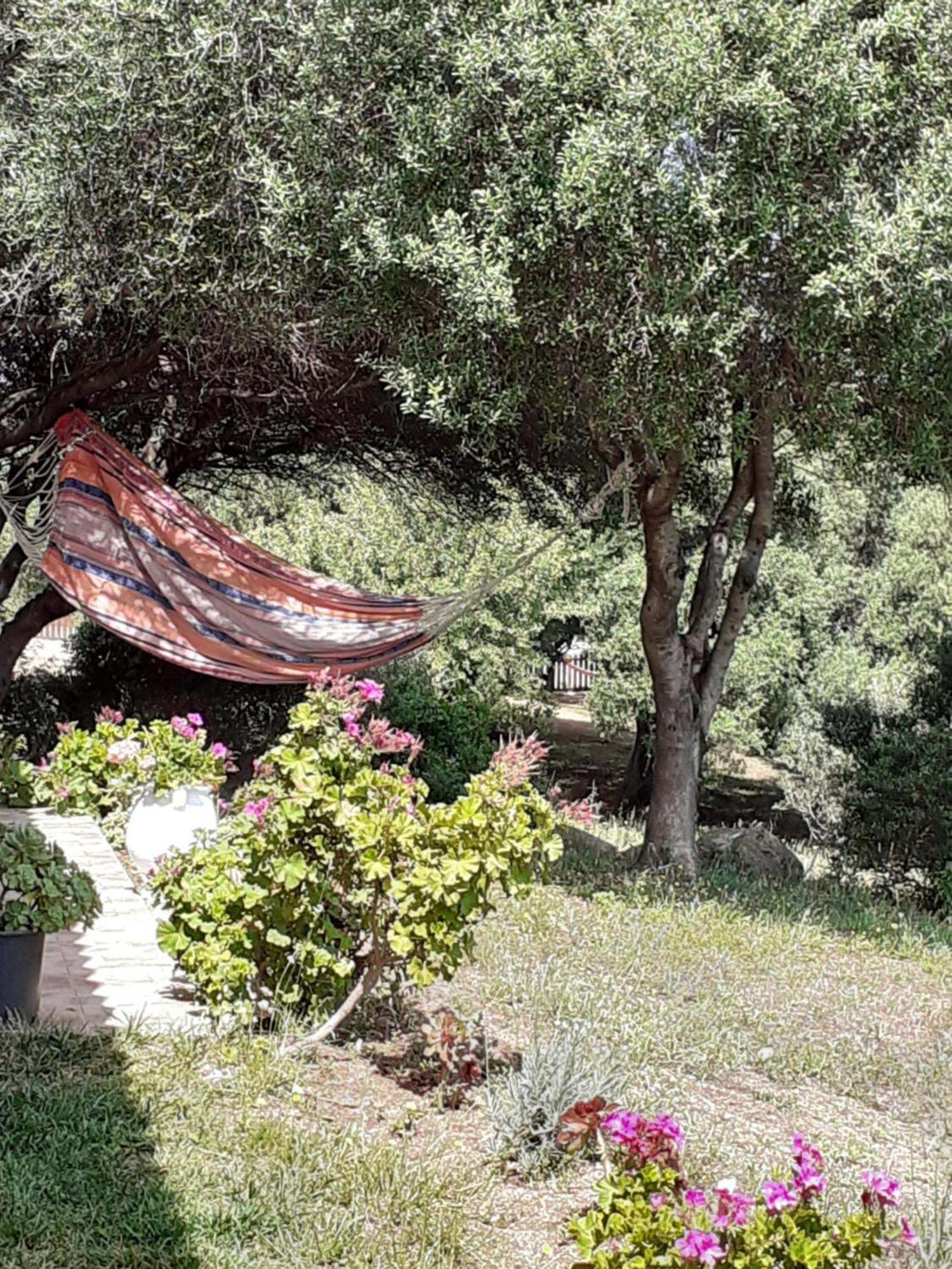 Agriturismo Gli Olivastri Appartamento Corbezzolo Con Piscina E Vista Mare,Climatizzatore,Wifi Aglientu Zewnętrze zdjęcie